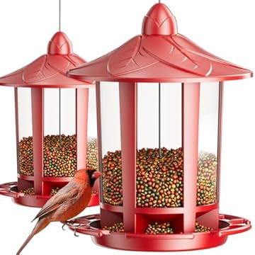 best bird feeders for scarlet tanagers that will transform your backyard 2 best bird feeders for scarlet tanagers