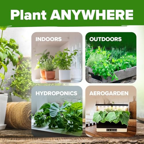HOME GROWN 6 Herb Seeds for Planting 2,650+ Non-GMO Heirloom Seeds | Extra Large Variety Pack Herb Kit – Indoor Outdoor & Hydroponic | Culinary Seed Set | Grow Your Own Herbs | Gift for Beginners - Image 8