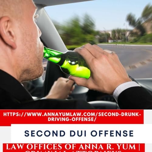 Second DUI Offense - Anna Yum
