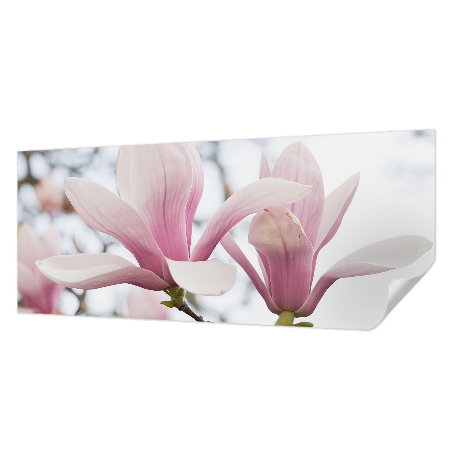 Papier peint adhésif sans colle Tulup magnolia pour rénover un mur taché de salon