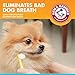 Arm & Hammer for Pets Fresh Breath Enzymatic Dog Toothpaste, Vanilla Ginger Flavor, Safe for Puppies and Adult Dogs, Daily Baking Soda Dental Gel to Eliminate Bad Breath, 2.5 Oz