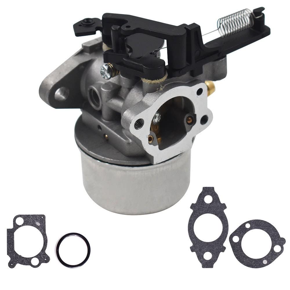 Riparazione Del Prato 591137 593599 595390 799248 799154 Carburatore - Foto 2