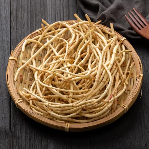 houttuynia cordata - semillas, semillas de cocina medicinales jardín del balcón raras jardín rocas resistentes invierno 150pcs