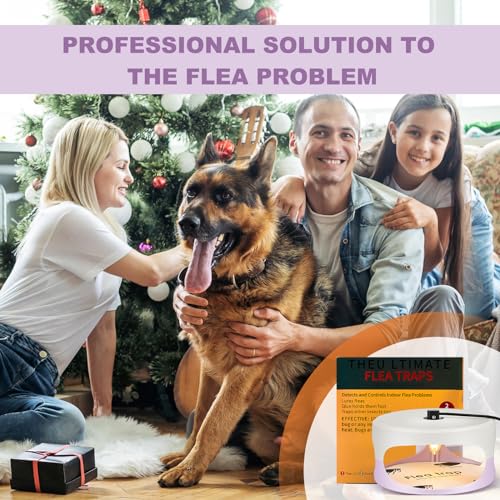 Image of 4 Packs Flea Traps for Inside Your Home, White, Purple | Includes 8 Sticky Pads, 12 Bulbs, 4 Electric Wires, Flea Killer Indoor Bed Bug Light Trap, for Home Indoor Safe to Pets