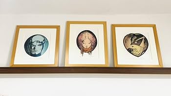 Amazon.co.jp: T898天野喜孝 リトグラフ AAC 200 作品番号