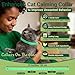 Cat Calming Diffuser and Calming Collar for Cats: Premium Cat Calming Collar - Cat Calming Pheromone Diffuser-Cat Calming Diffuser Refill-Pheromones for Cats (2 Diffusers+2 Refills+2 Collars)
