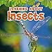 Learning About Insects (The Natural World)