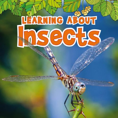 Learning About Insects (The Natural World)
