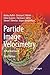 Particle Image Velocimetry: A Practical Guide (Experimental Fluid Mechanics)