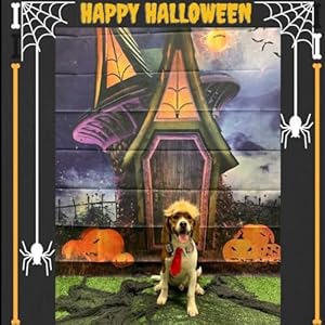   Trump-Style-Pet-Costume-Dog-Wig-Dog-Clothes-with-Collar-Tie-Head-Wear-Apparel-Toy-for-Halloween-Christmas-Parties-Festivals-Brown-with-Tie