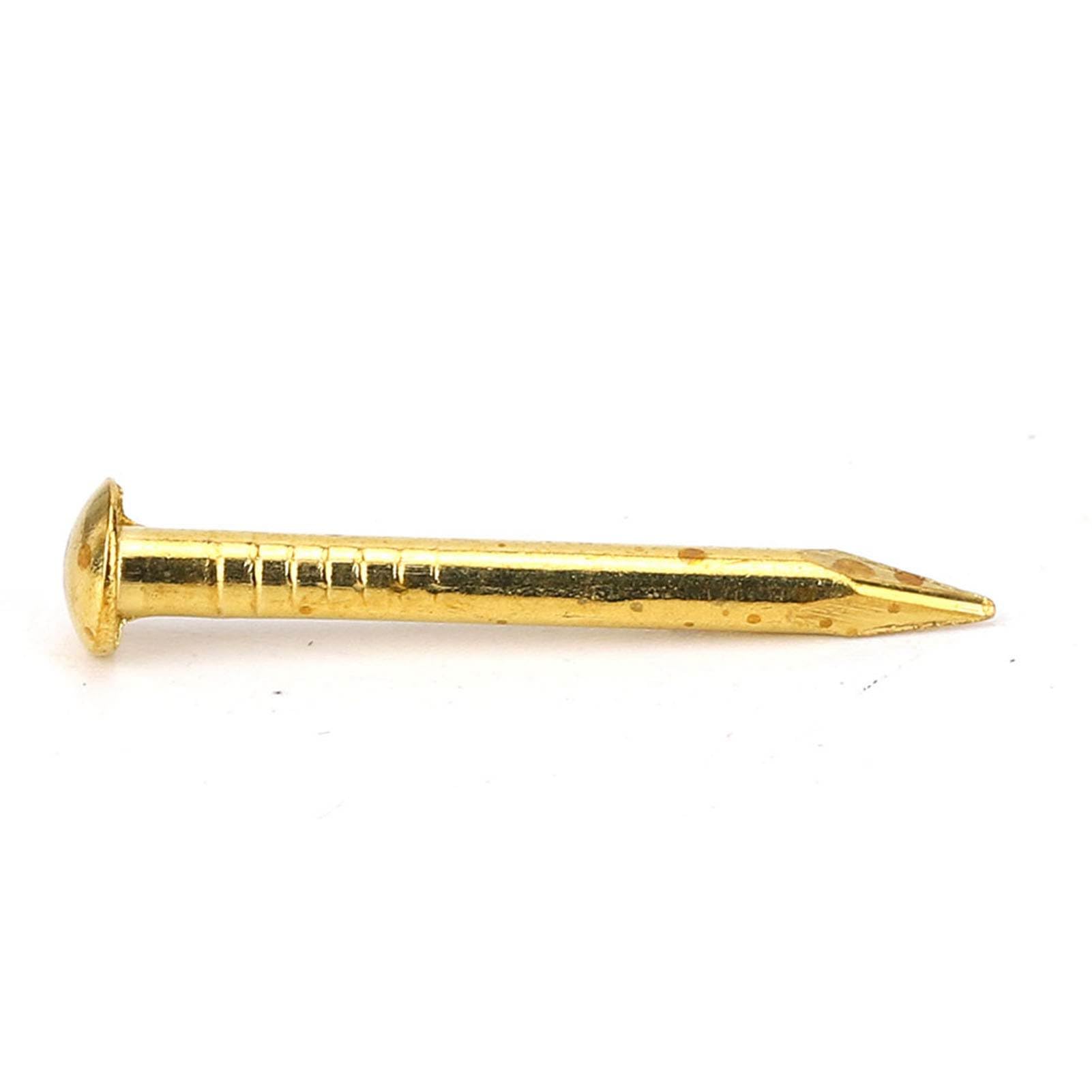 100 stks Messing Kopspijkers Meerdere Maten Messing Nagels Hardware Grote Koperen Nagels voor Houten DIY Decoratieve Foto Dozen Huishoudelijke Accessoires(18mm