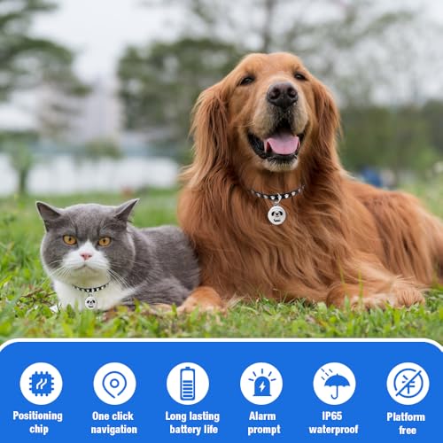 XPJBKC GPS-Tracker für Katze, Mini-Haustier- und Hundetracker mit Halsband, Echtzeit-Standortverfolgung von Hunden und Katze