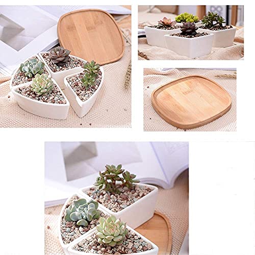 Macetas de cerámica con base modular de bambú para composición de plantas 7