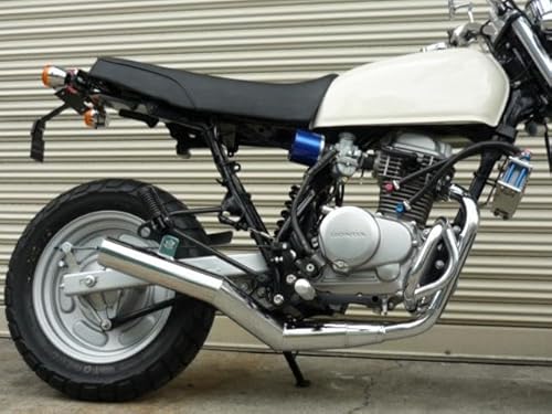 PRETTY RACING GCv100 APE V[g bL }t[