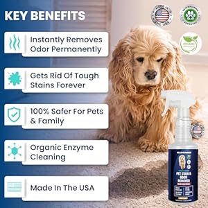 We Love Doodles Pet Stain & Odor Remover, Dog Urine Enzyme Cleaner, Organic Enzymatic Ingredients, Pee Spray Eliminator For Carpet, Made in USA, Professional-Grade Kid & Pet-Friendly, 32 oz