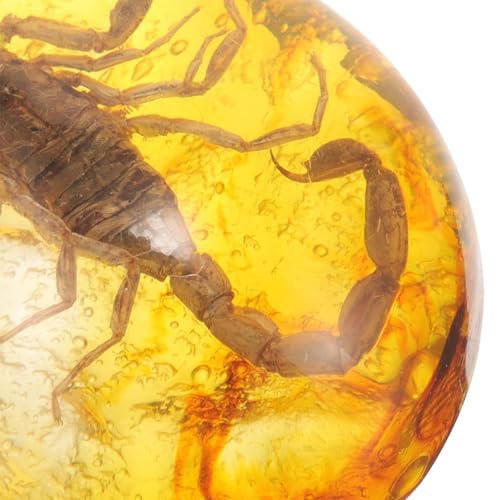 Especímenes de insectos en ámbar de resina, juego de 3 piezas para regalo original de Navidad 3