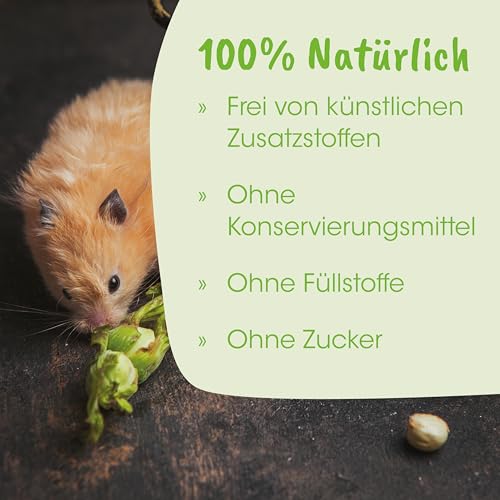 cdVet Naturprodukte Nager Vit C 20 ml - Kaninchen - Meerschweinchen - Versorgung mit Vitamin C - Nahrungsergänzung - auch für atemwegsempfindliche Tiere geeignet - natürliche Zutaten -