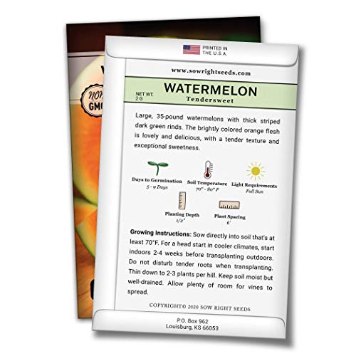 Sow Right Seeds - Orange Tendersweet Watermelon Seed For Planting - Non-Gmo Heirloom Packet With Instructions To Plant A Home Vegetable Garden #TOP1