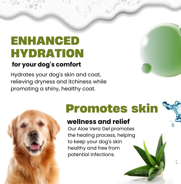 Amazon.com : Raslok Aloe Vera Gel for Dog (Canine) 99% Natural, Hydrating  Skin & Coat Care  Free from Paraben, Alcohol, Fragrance & Color  220gm  (7.7oz) : Pet Supplies