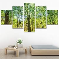 SIGNWIN 5 Panel Canvas Wall Art Modern Art Dramatic Forest Multicolor Photography Romantics Scenic for Home Decorations Ready to Hang - 60