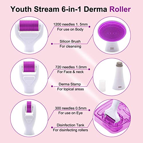 Dermaroller, Dermaroller Titanio, Dermaroller