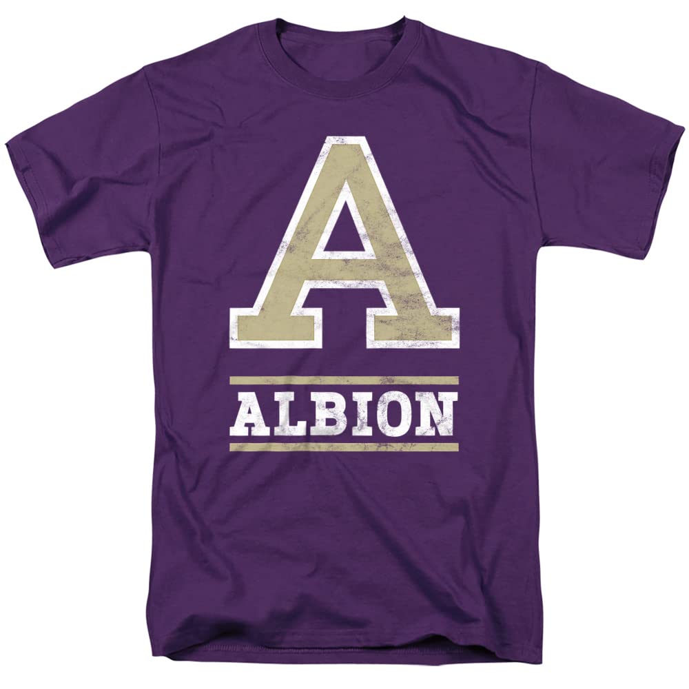 LOGOVISION Official Collegiate Distressed Primary Logo Adult T-Shirt Collection — view 14
