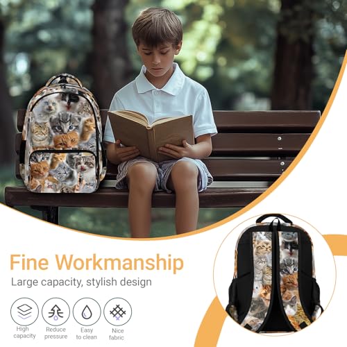Cute Cats Backpack for Kids Boys Girls, Funny Cat Backpack for School Outdoor Travel 16.5inch4