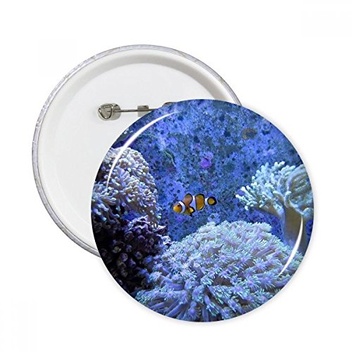 Poisson Clown broches Ocean Coral Science XXL : le cadeau idéal de badges déco nature (5 pièces)