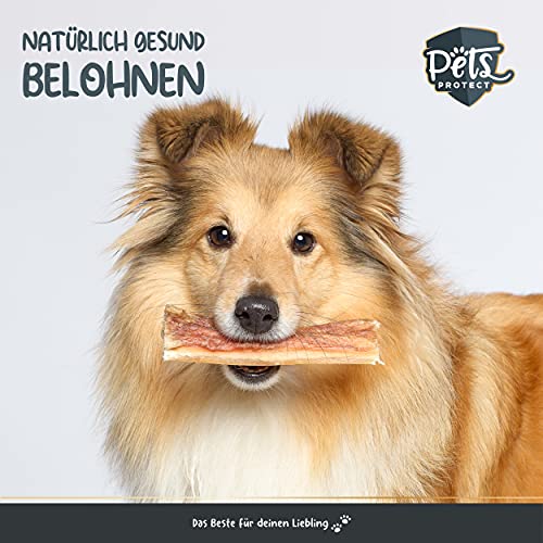 Native RINDERKOPFHAUT getrocknet | Für Hunde | 15-20 cm | Fettarm & proteinreich | Extra Langer Kauspaß | Natürliche Zahnpflege | Ohne Chemie & künstliche Zusätze | 500g | Deutsche Herstellung