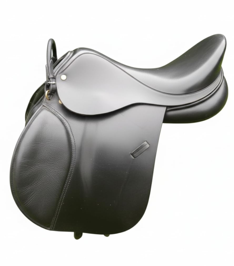 Chevaux de selle anglais Banque de photographies et d'images à haute résolution - Alamy