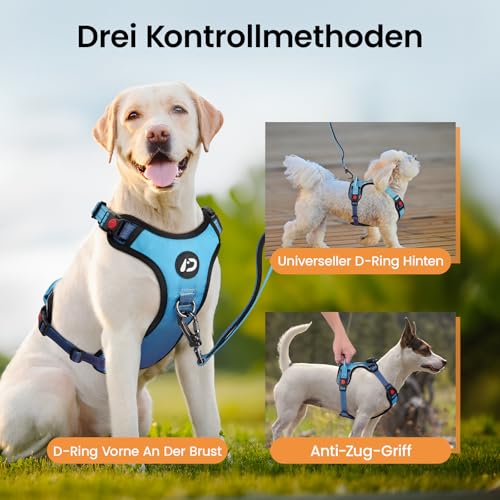 DAISTERN von BSWAY LED Hundegeschirr Größe S mit Griff, Aufladbares Leuchtendes Hundegeschirr, Brustgeschirre Hunde mit 3 Blinkmodi, Reflektierende Streifen für kleine und Mittelgroße Hunde