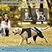 Dog Knee Brace for Torn ACL Hind Leg, Adjustable Dog Leg Braces for Back Leg with 4 Metal Stabilizers Strong Joint Support to Reduce Pain from Luxating Patella, Ligament Injury, Hip Dysplasia L
