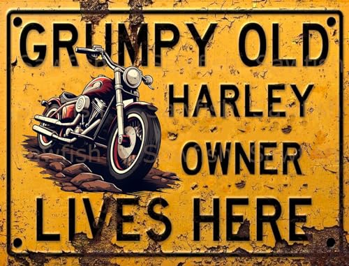 Targa decorativa da parete in metallo di alluminio, stile vintage,