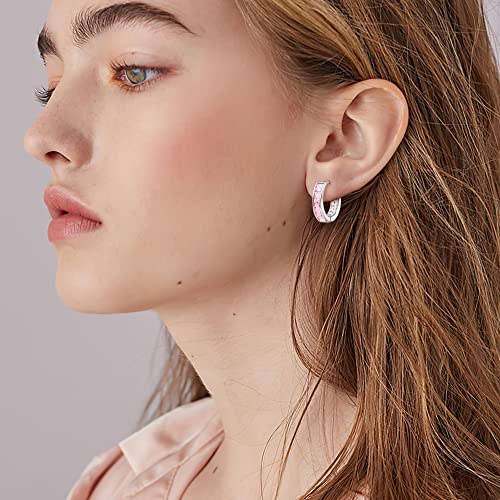 Linawe Silver Hoop Earrings For Women Trendy, Pink Cubic Zirconia Moissanite Earrings Studs, Flat Back Helix Pride Cute Small Huggie Earrings, Cartilage Cuff Ear Piercing Nap #TOP1