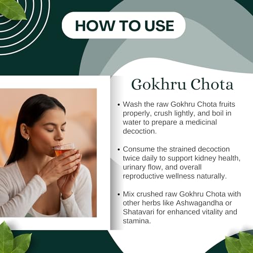 BrijBooti Birju Mahavir 100 Gr Gokhru Chota - Tribulus Terrestris Seeds - Small Caltrops