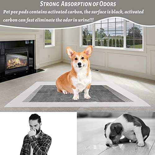 Image of Disposable Rabbit Pee Pads,50PCS 17 inchx22 inch Pet Pees Pad,Cage Black Carbon Liner,Super Absorbent Leak Proof Cushion Reduce Odor Bunny Training Accessories for Kitten Puppy Hamster Hedgehog(Gray)