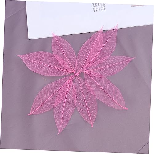 Amosfun 50 Unidades Plantas Artificiais Decorativas Folhas De Esqueleto Folhas De Recados Naturais F