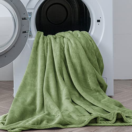 Bedelite Flannel Sheets Queen Size Sage Green - Super Soft Fleece Sheets Set Fluffy Extra Plush, 4 Piece(Include Fitted Sheet, Flat Sheet, 2 Pillowcases) #TOP5
