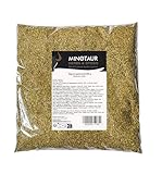 MINOTAUR