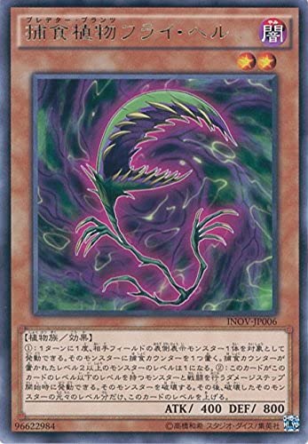 VYJ[h INOV-JP006 ߐHAtCEw A VYARC-V [CxCWEIuEFm]