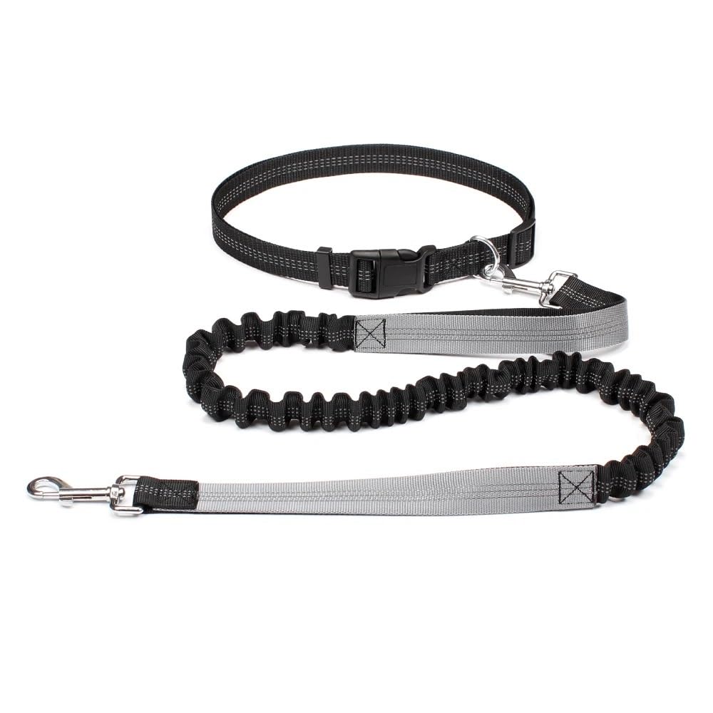 Corde traction chien pour le jogging et les balades mains libres en ville