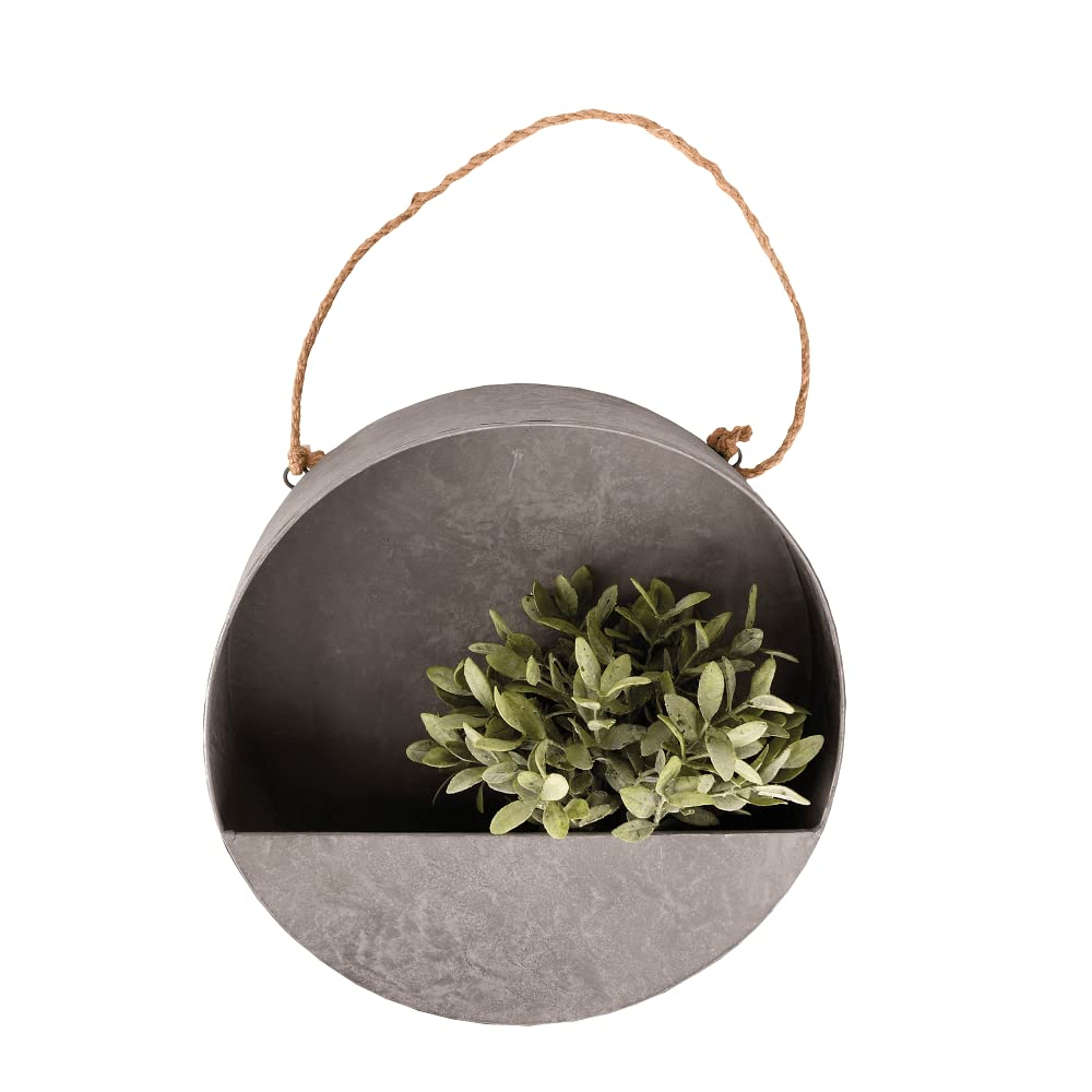 Fallen Fruits Wall Planter Round - Black / 1.50Cm
