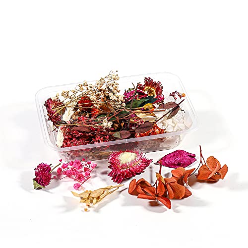Flores secas reales para moldes de resina UV epoxy miniatura 5