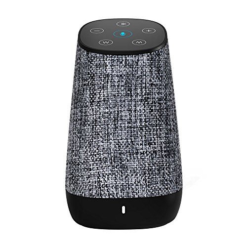 COWIN DiDa with Amazon Alexa Bluetooth Speakers, Smart Wireless Portable WiFi Speaker 15W Output Power with Enhanced Bass- Gray
