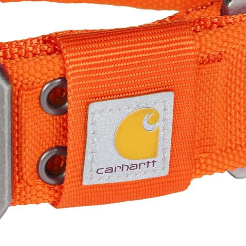 Carhartt Pet Voll Verstellbares breites Gurtband-Halsband für Hunde, strapazierfähiges Nylon zum Spazierengehen und Training, Blaze Orange, Größe M