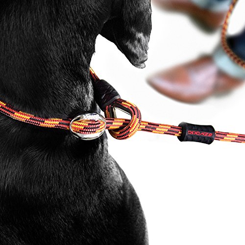 Ezydog Luca All-In-One Slip Collar Climbing Rope Dog Leash Combo - Best Dog Lead For Control, Training, Correction, And Exercising - Perfect For Small Dogs (Lite, Orange) #TOP2