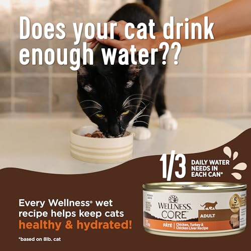 Wellness 6200 Core+ Healthy Weight Natural Grain Free Wet Canned Wet Cat Food thumb #2