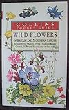 The wild flowers of Britain and northern Europe (Collins Handguides)