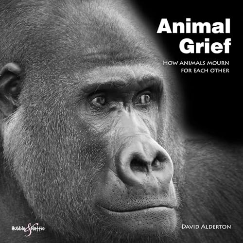 Animal Grief: How animals mourn