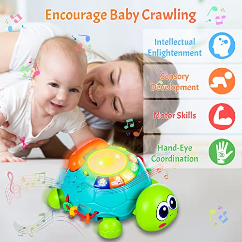 Baby Toys 6 To 12 Months Crawling Turtle Musical Infant Toys For 12 Months Old Light Up Tummy Time Toys Early Eduactional Learning Montessori Toys For 8 9 10 Month Baby Boy Girl Toddler #TOP5
